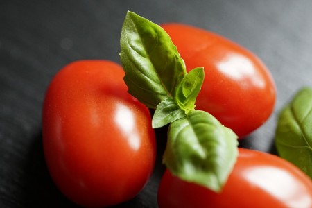 tomate basilic